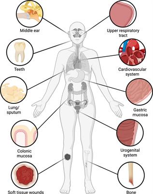 Bacterial biofilms in the human body: prevalence and impacts on health and disease